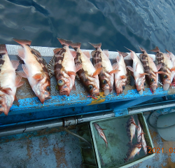 作十丸 釣果