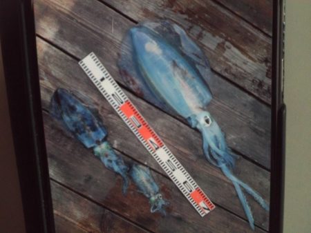 こかわ渡船　雅丸 釣果