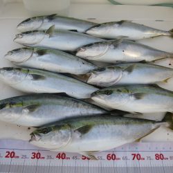 アジアマリンサービス 釣果