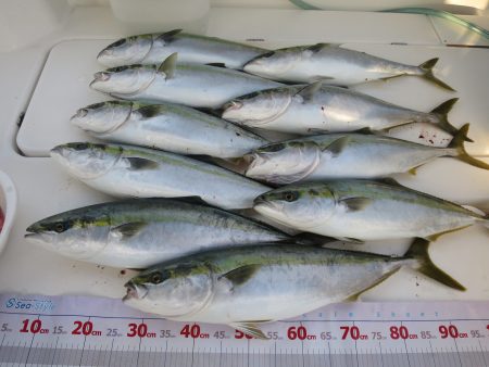 アジアマリンサービス 釣果