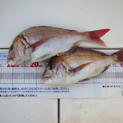 アジアマリンサービス 釣果