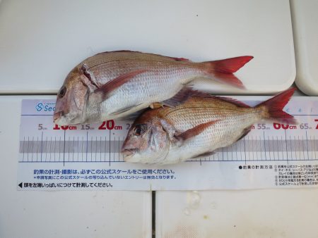 アジアマリンサービス 釣果