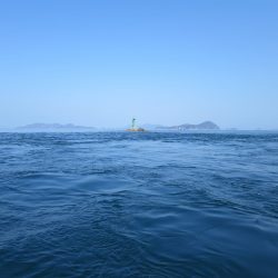 アジアマリンサービス 釣果