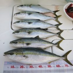 アジアマリンサービス 釣果