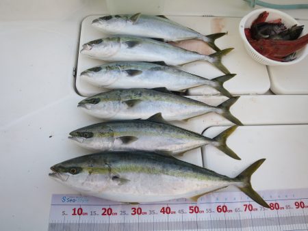 アジアマリンサービス 釣果