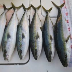 アジアマリンサービス 釣果