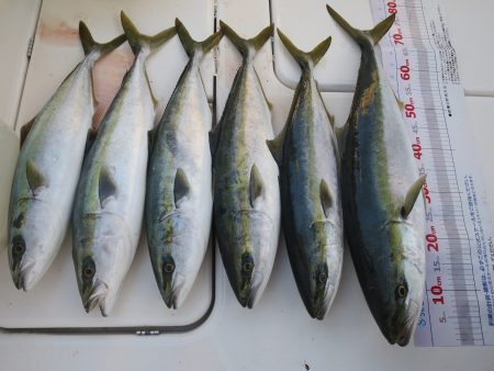 アジアマリンサービス 釣果