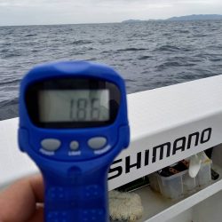 フィッシングボートACE(エース) 釣果