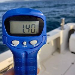 フィッシングボートACE(エース) 釣果