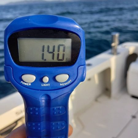 フィッシングボートACE(エース) 釣果