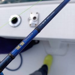 フィッシングボートACE(エース) 釣果