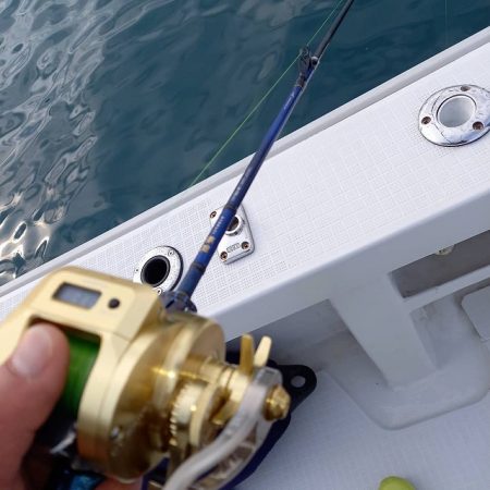 フィッシングボートACE(エース) 釣果