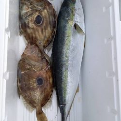 フィッシングボートACE(エース) 釣果