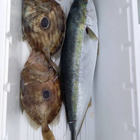 フィッシングボートACE(エース) 釣果