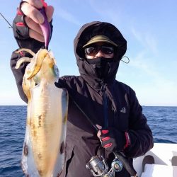 フィッシングボートACE(エース) 釣果