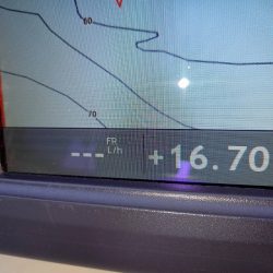 フィッシングボートACE(エース) 釣果