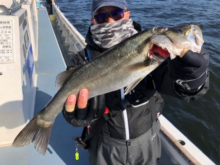深川 吉野屋 釣果