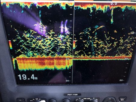 深川　吉野屋 釣果