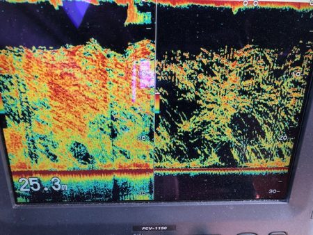 深川 吉野屋 釣果