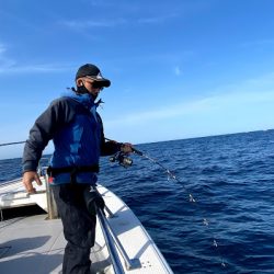 オーシャンズ　京都 釣果