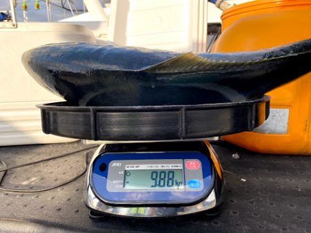 オーシャンズ　京都 釣果