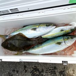 オーシャンズ　京都 釣果