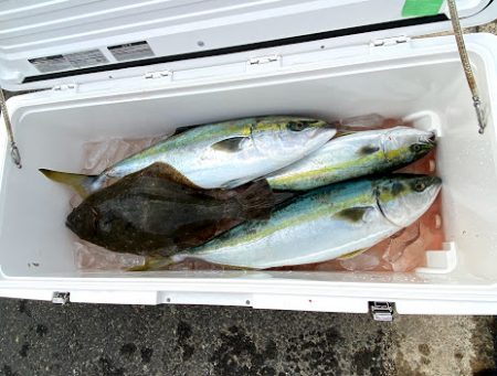 オーシャンズ　京都 釣果