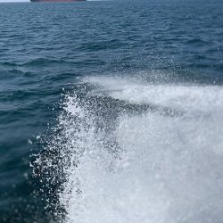 フィシングボートAir(エアー) 釣果