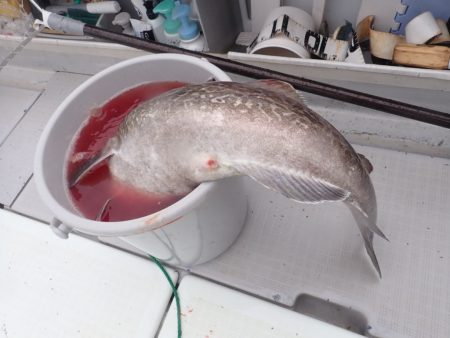 Aquanaut（アクアノート） 釣果