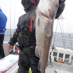 Aquanaut（アクアノート） 釣果