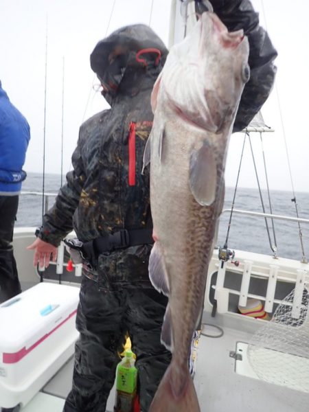 Aquanaut（アクアノート） 釣果