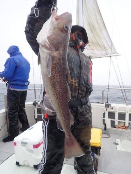 Aquanaut（アクアノート） 釣果