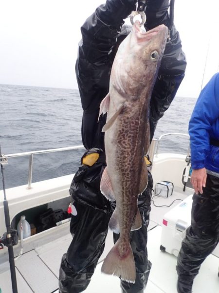 Aquanaut（アクアノート） 釣果