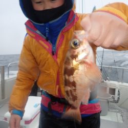 Aquanaut（アクアノート） 釣果