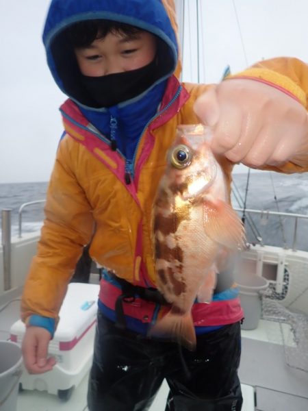 Aquanaut（アクアノート） 釣果