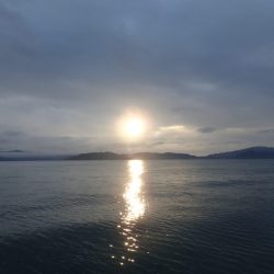 Aquanaut（アクアノート） 釣果