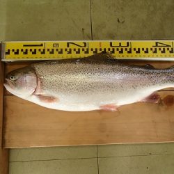 志高湖フィッシング 釣果