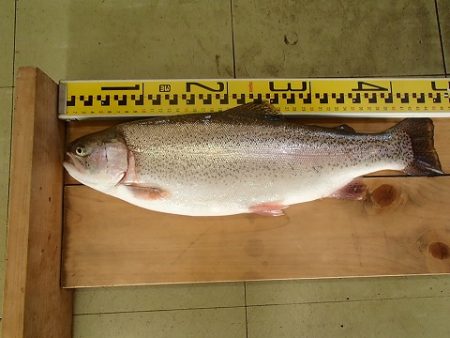 志高湖フィッシング 釣果