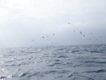 Aquanaut(アクアノート) 釣果