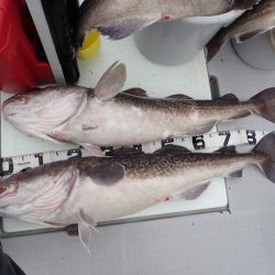 Aquanaut(アクアノート) 釣果