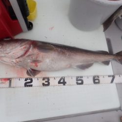 Aquanaut(アクアノート) 釣果