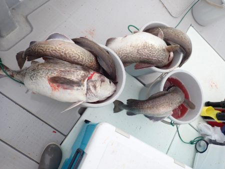 Aquanaut(アクアノート) 釣果