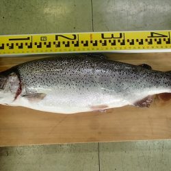 志高湖フィッシング 釣果