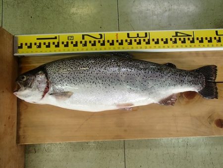 志高湖フィッシング 釣果