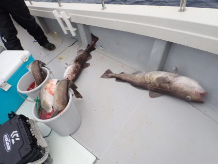 Aquanaut(アクアノート) 釣果