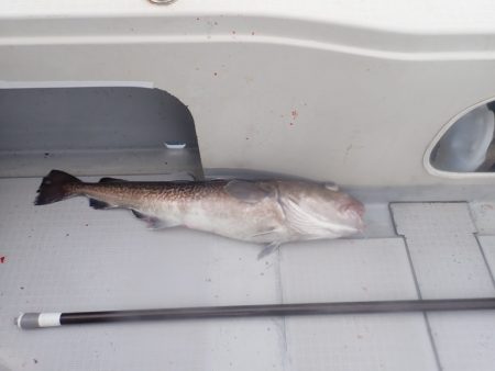 Aquanaut(アクアノート) 釣果