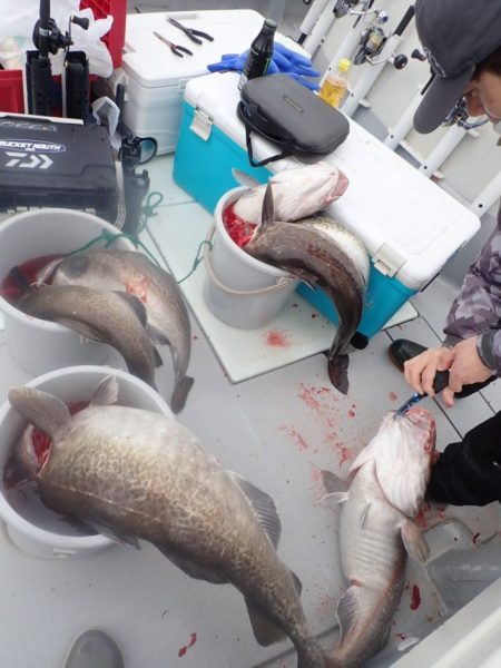 Aquanaut(アクアノート) 釣果