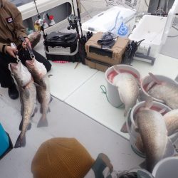 Aquanaut(アクアノート) 釣果