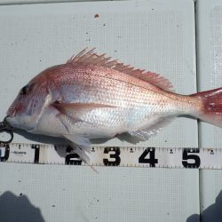 Aquanaut(アクアノート) 釣果