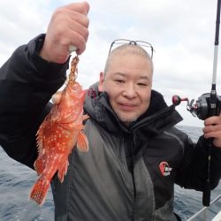 Aquanaut(アクアノート) 釣果